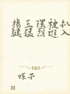 杨玉环被扒开双腿猛烈进入小说