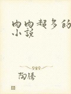 肉肉超多的言情小说