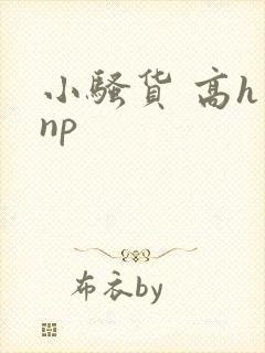 小骚货 高h np