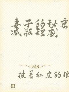 妻子的秘密未删减版短剧