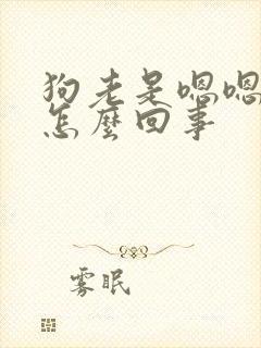 狗老是嗯嗯嗯叫怎么回事