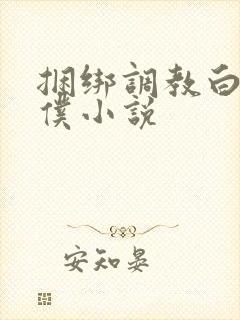 捆绑调教白丝女仆小说封面