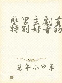 双男主剧有哪些特别好看的