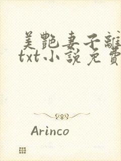 美艳妻子离婚后txt小说免费阅读全文