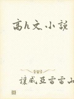高h文小说