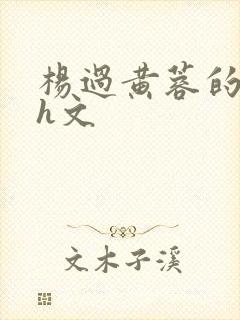 杨过黄蓉的沦陷h文