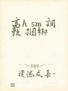 高h sm 调教 捆绑
