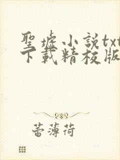 圣墟小说txt下载精校版