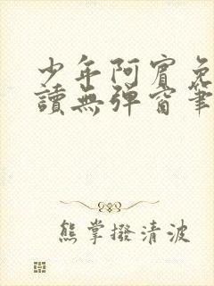 少年阿宾免费阅读无弹窗笔趣阁封面