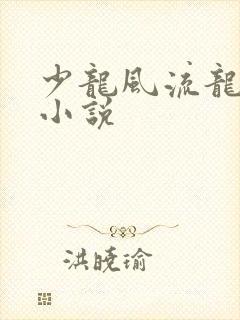 少龙风流龙剑飞小说