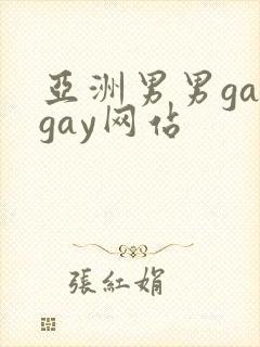 亚洲男男gaygay网站