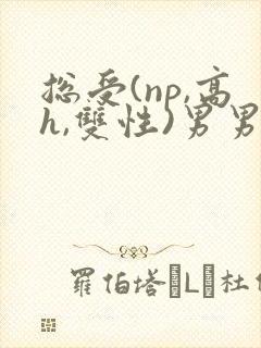 总受(np,高h,双性)男男
