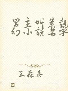 男主叫叶观的玄幻小说名字