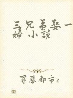 三兄弟娶一个媳妇 小说