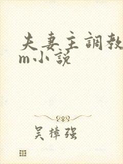 夫妻主调教 sm小说