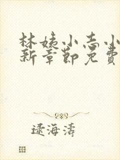 林姨小志小说最新章节免费阅读封面