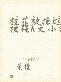 校花被拖进工地被强h文小说