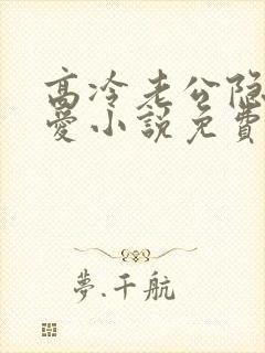 高冷老公隐婚蜜爱小说免费阅读