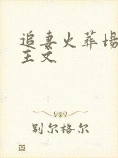 追妻火葬场双男主文