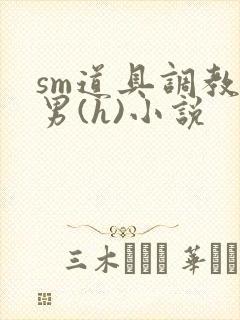 sm道具调教男男(h)小说