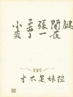 小柔张开腿让我爽了一夜