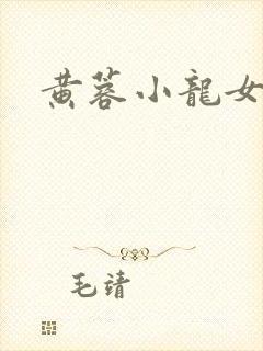 黄蓉小龙女h文