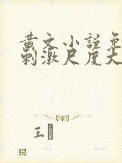 黄文小说免费肉刺激尺度大封面