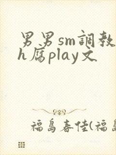 男男sm调教高h腐play文