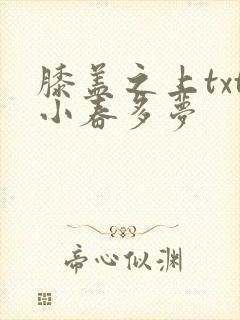 膝盖之上txt小春多梦