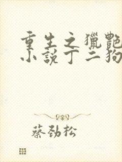 重生之猎艳人生小说丁二狗免费阅读封面