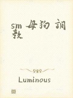 sm 母狗 调教封面