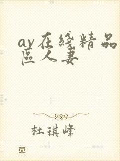av在线精品一区人妻