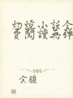 灼烧小说全文免费阅读无弹窗