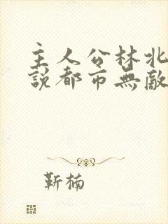 主人公林北的小说都市无敌战神