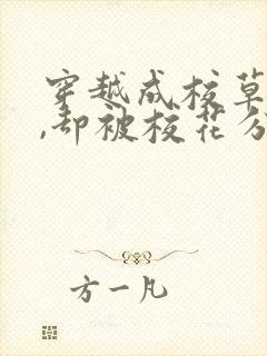 穿越成校草的我,却被校花分手