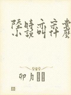 陆时亦宋棠原著小说叫什么