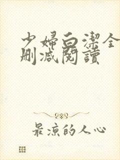 少妇白洁全文无删减阅读封面