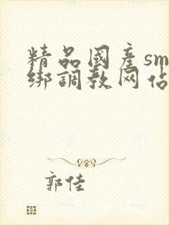 精品国产sm捆绑调教网站