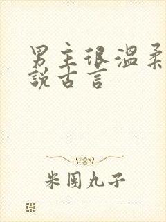 男主很温柔的小说古言