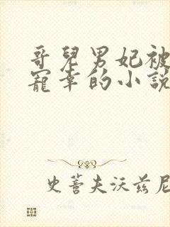 哥儿男妃被皇上宠幸的小说