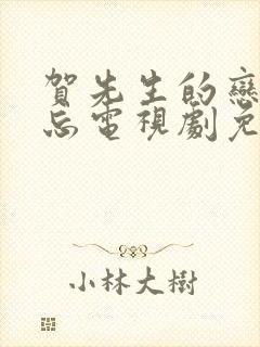 贺先生的恋恋不忘电视剧免费观看完整版封面