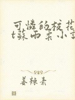 可怜的校花txt苏雨柔小说阅读全文