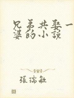 兄弟共娶一个老婆的小说