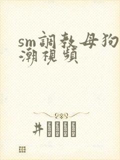 sm调教母狗高潮视频