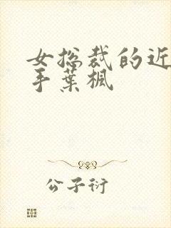 女总裁的近身高手叶枫