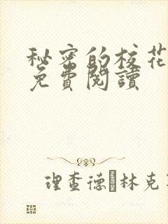 秘密的校花小说免费阅读