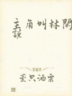 主角叫林闲的小说封面