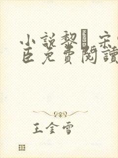 小说黎� 宋轻臣免费阅读