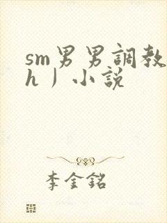 sm男男调教〈h丿小说