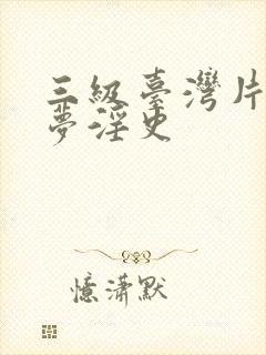 三级台湾片红楼梦淫史封面